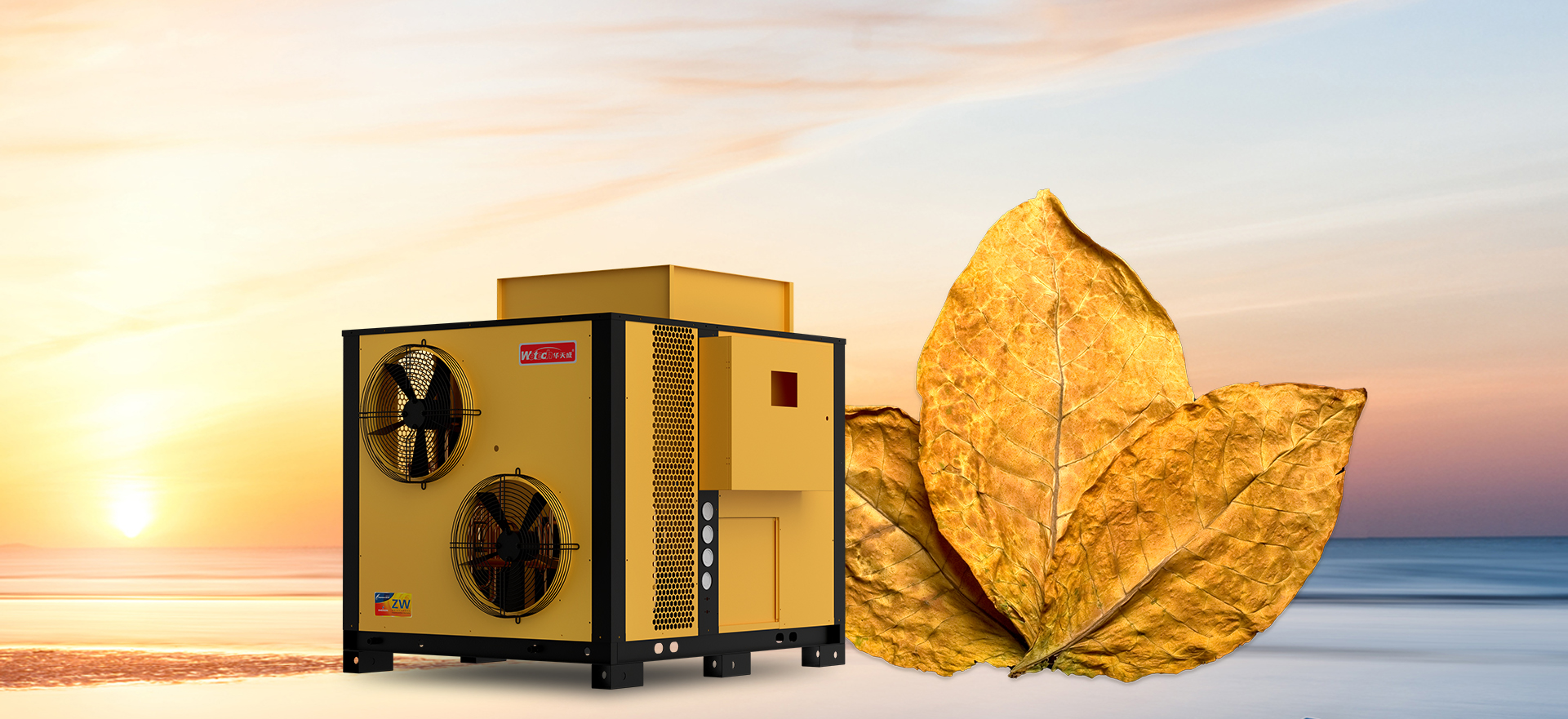 安(an)靜，突破想象